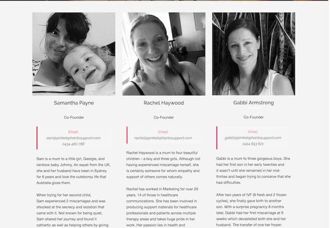 Cofounders bios website screen capture of the pink elephants support network